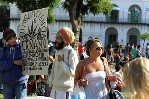 The wave of fight for the legalization of marijuana reached Latin America
